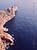 Paysage de bord de mer - Rgion mditerranenne -st - 79