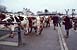 Marchés aux bestiaux en Pays de la Loire et Bretagne  - 34