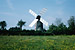 Moulins à vent Pays de la Loire 1982 - Petit Moulin de Chateauneuf - 04