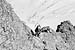 Course mixte en haute montagne - Massif des Ecrins - 1980 - 42