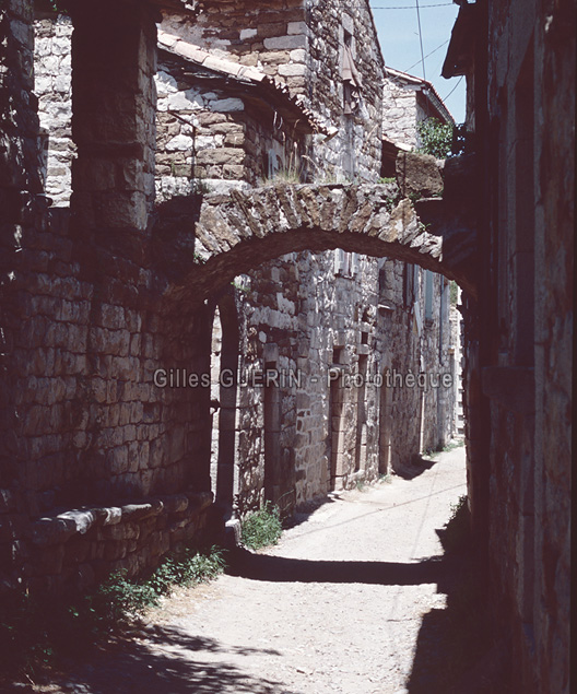 Village cvenol 1995