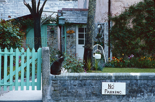 UK 1980 - Cornouailles - Petit pavillon de ville et son jardinet