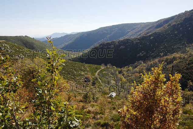 Paysage cévenol - Parc Régional des Monts d'Ardèche - Cévennes