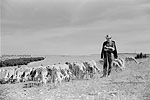 Plateau du Larzac 1972  - Berger et ses moutons