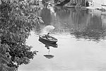 Montargis 1972  - Pêcheur à la ligne dans sa barque sur le Loing 
