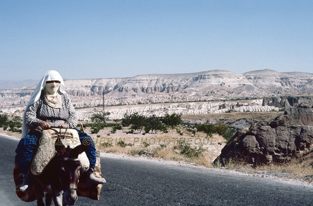 Femme voilée voyageant à dos d'âne sur une petite route