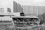 1973  - Démolition du bidonville du Franc Moisin en Seine-Saint-Denis - Boîtes aux lettres