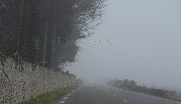 Ambiance - Route bordée de vieux murs de pierre et dans le brouillard - 2016