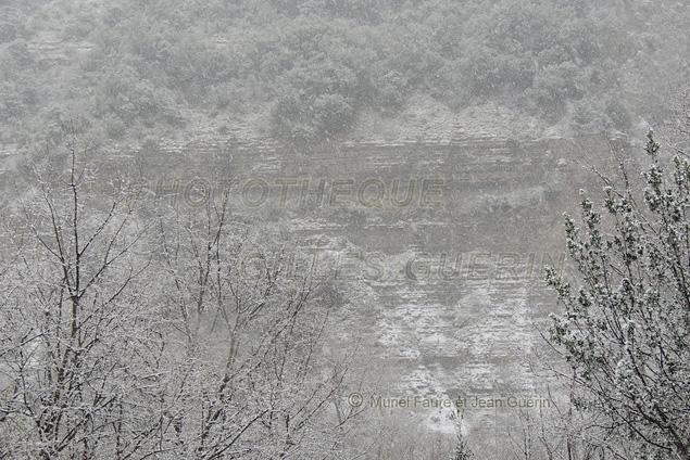 Ambiance hivernale - Chemin avec murette de pierres et silhouettes d'arbres morts - Neige et brouillard - Région Centre