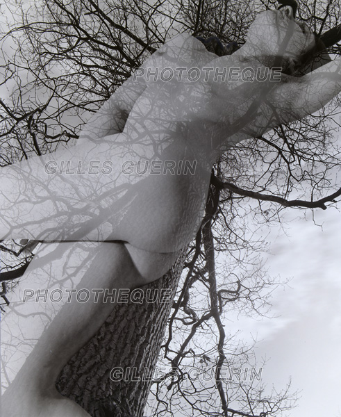 Femme nue dans les arbres