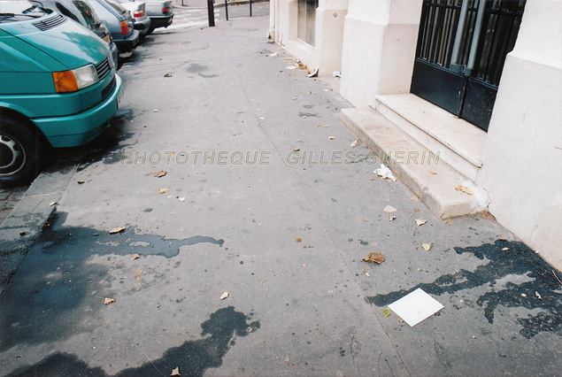 Djections canines  Paris - 2003