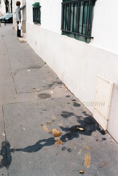 Djections canines  Paris - 2003