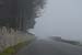 Route et brouillard - 25