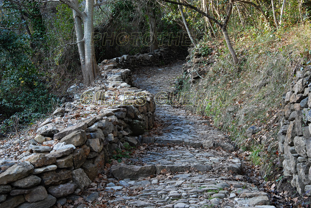 Ambiance - Ancienne voie romaine - Parc Régional des Monts d'Ardèche - Cévennes- 2016