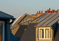 Pigeon pigeonnes sur toits Paris soleil couchant - 2019